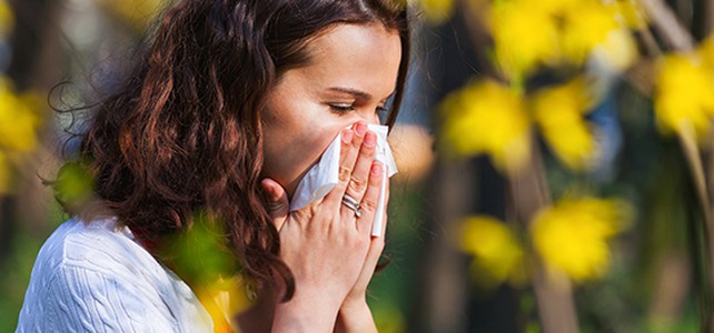Nach mildem Winter: Blütenpollen reizen bereits Allergiker