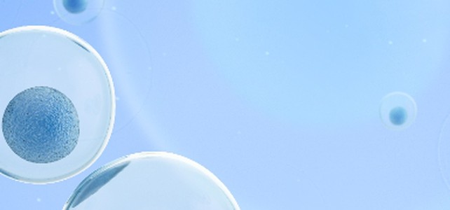 Reproduktionsmedizin: Wann steht ein Durchbruch an und welche Rolle ...