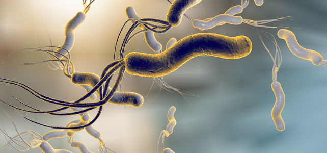 Wie nah sind wir der Eradikation von H. pylori?